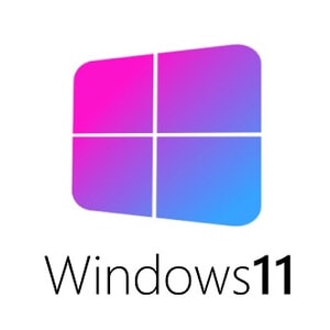Windows 11 Installation