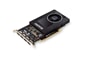 Nvidia Quadro P2000.jpg