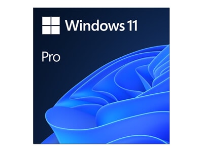Win 11 Pro license.jpg