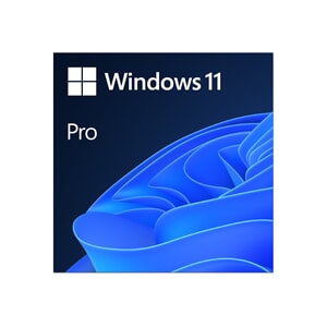 MS ESD Windows Professional 11 64-bit All Languages Online dwb